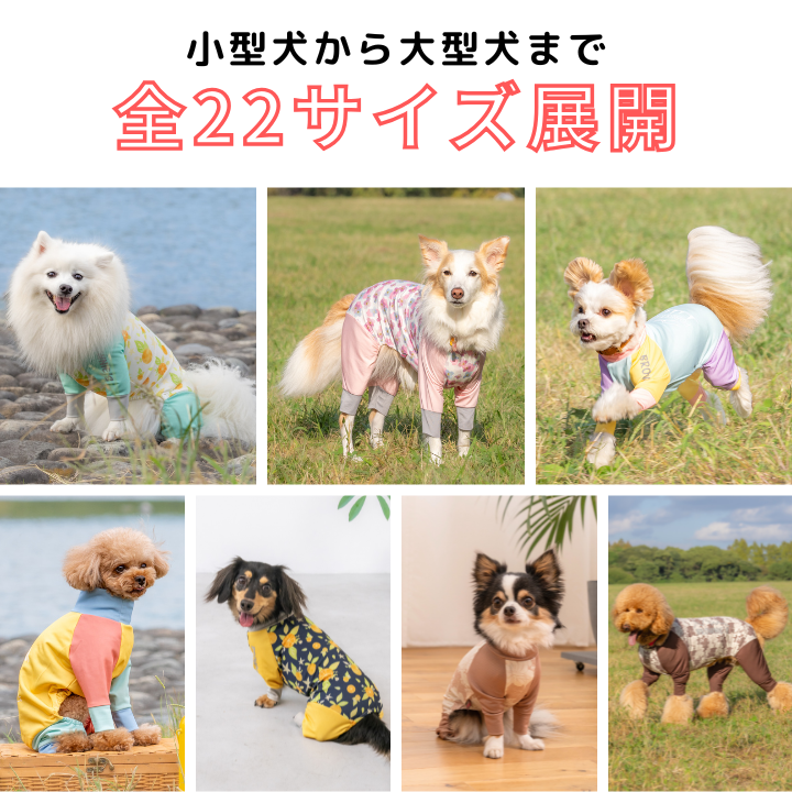 【2026年モデル】撥水アクティブロンパース XS/S/M/L/XL/XXL/DXS/DS/DM/FBS/FBM/FBL/4L/4DL/5L/5DL/6L/6DL/OS/OM/OL/OXL	 BROWNIE'S-ブラウニーズ- 犬服 ドッグウェア 小型犬 中型犬 大型犬 ダックス フレブル コーギー BR26SS br261830