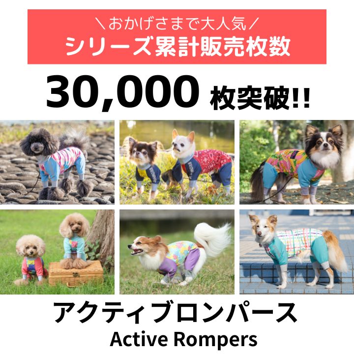 【2026年モデル】メッシュアクティブロンパース XS/S/M/L/XL/XXL/DXS/DS/DM/FBS/FBM/FBL/4L/4DL/5L/5DL/6L/6DL/OS/OM/OL/OXL BROWNIE'S-ブラウニーズ- 犬服 ドッグウェア 小型犬 中型犬 大型犬 ダックス フレブル コーギー BR26SS br261831