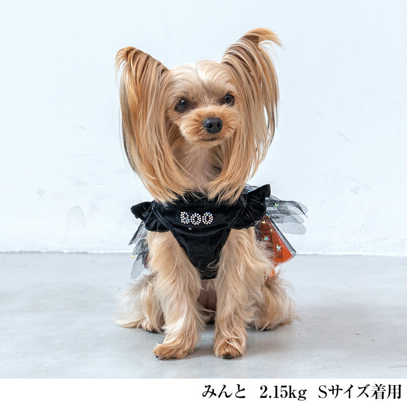 キラキラハロウィンワンピ XS/S/M/L/XL CRAZYBOO -クレイジーブー- 犬服 ドッグウェア CB24AW アルわん優待 cb241090