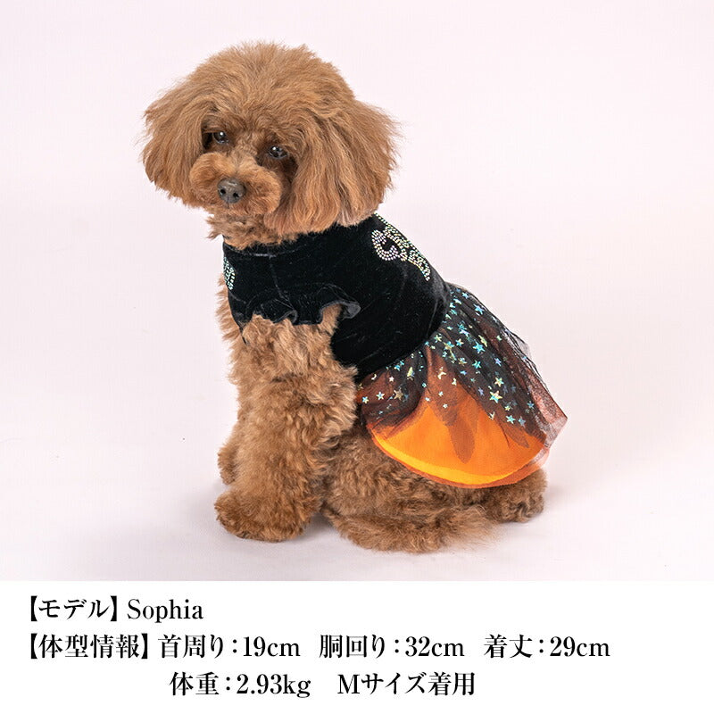 キラキラハロウィンワンピ XS/S/M/L/XL CRAZYBOO -クレイジーブー- 犬服 ドッグウェア CB24AW アルわん優待 cb241090