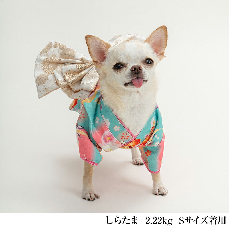 梅柄着物 XS/S/M/L/XL/XXL/DXS/DS/DM CRAZYBOO -クレイジーブー- 犬服 ドッグウェア CB24AW アルわん優待 cb241094