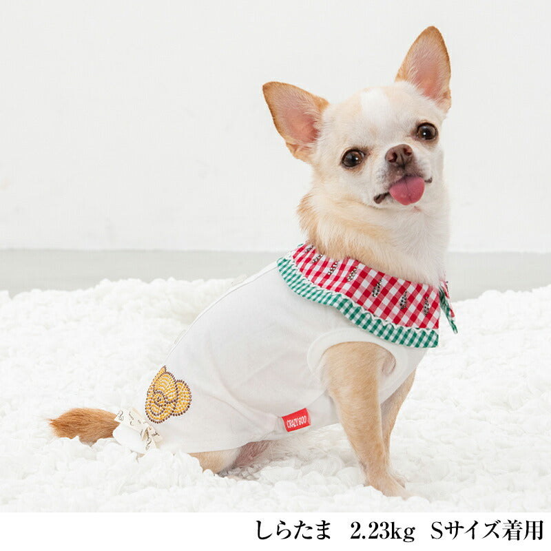 スイカ襟タンク XS/S/M/L/XL/XXL/DXS/DS/DM CRAZYBOO -クレイジーブー- 犬服 ドッグウェア CB25SS cb251104