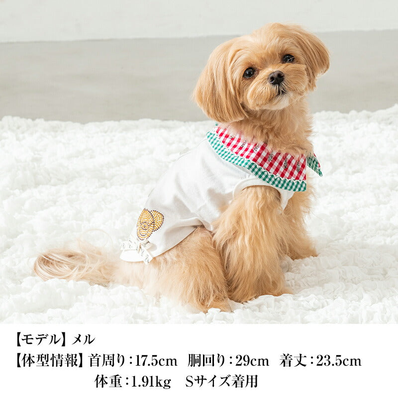 スイカ襟タンク XS/S/M/L/XL/XXL/DXS/DS/DM CRAZYBOO -クレイジーブー- 犬服 ドッグウェア CB25SS cb251104