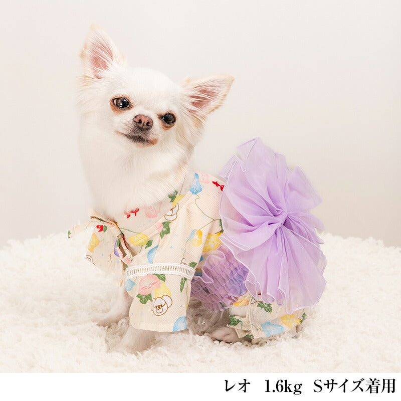 アサガオ柄甚平 XS/S/M/L/XL/XXL CRAZYBOO -クレイジーブー- 犬服 ドッグウェア CB25SS cb251118