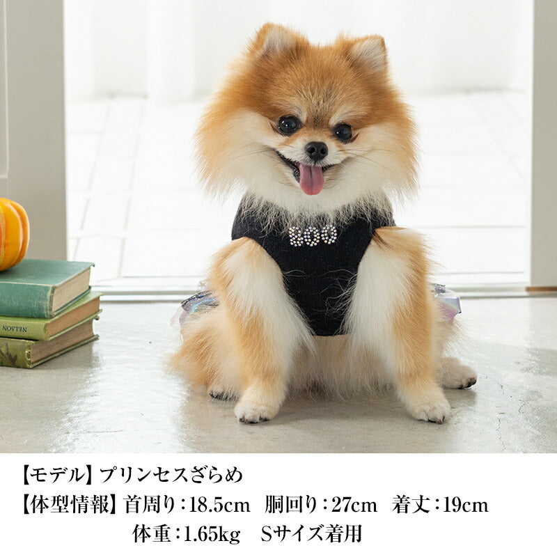 魔女っ子くまさんワンピ XS/S/M/L/XL CRAZYBOO -クレイジーブー- 犬服 ドッグウェア CB25AW cb251132