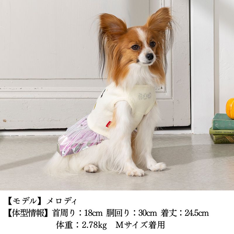 魔女っ子くまさんワンピ XS/S/M/L/XL CRAZYBOO -クレイジーブー- 犬服 ドッグウェア CB25AW cb251132