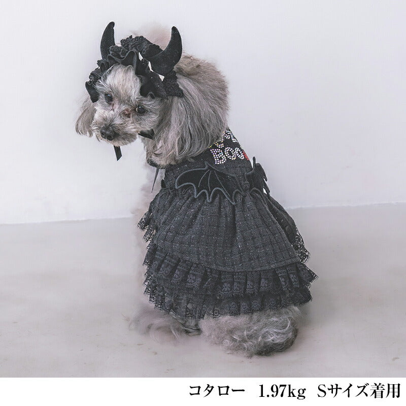 【公式通販限定】デビルワンピ XS/S/M/L/XL CRAZYBOO -クレイジーブー- 犬服 ドッグウェア ハロウィン CB25AW cb251157