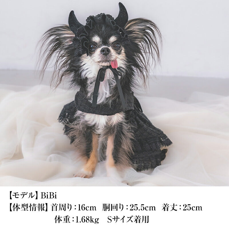 【公式通販限定】デビルワンピ XS/S/M/L/XL CRAZYBOO -クレイジーブー- 犬服 ドッグウェア ハロウィン CB25AW cb251157