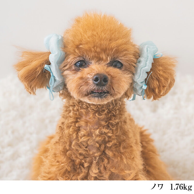 【公式通販限定】リボンシュシュ F CRAZYBOO -クレイジーブー- 犬用 アクセサリー CB25SS cb252158