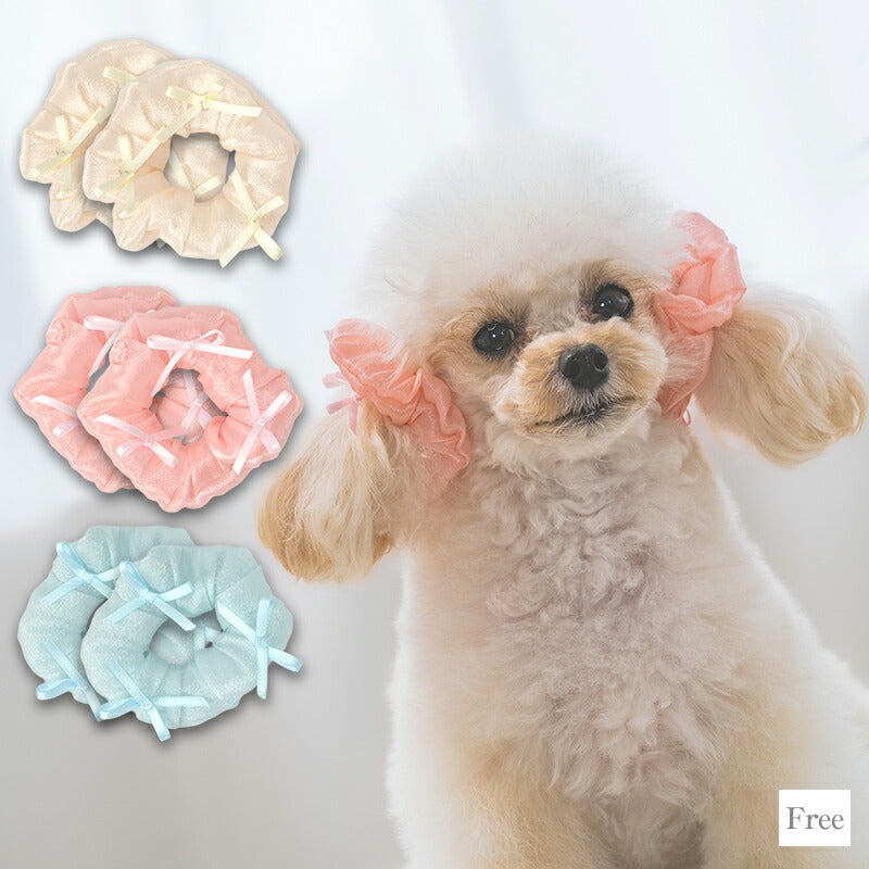 【公式通販限定】リボンシュシュ F CRAZYBOO -クレイジーブー- 犬用 アクセサリー CB25SS cb252158