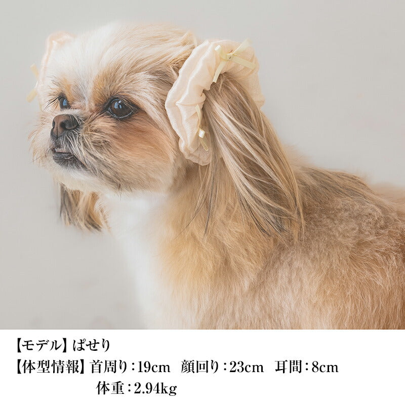 【公式通販限定】リボンシュシュ F CRAZYBOO -クレイジーブー- 犬用 アクセサリー CB25SS cb252158