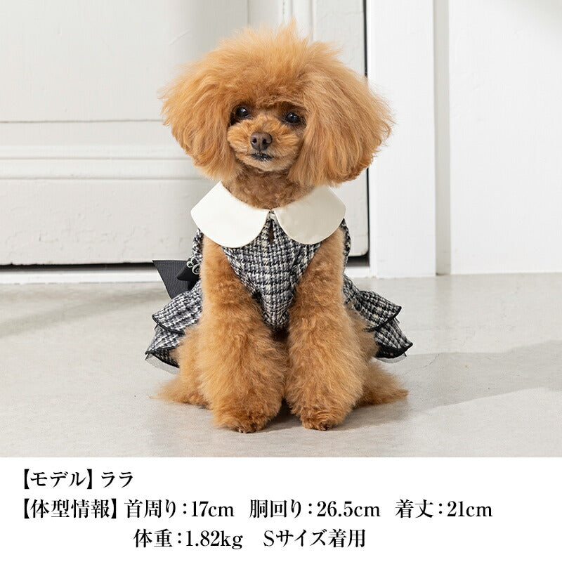 腰リボンチェックワンピ XS/S/M/L/XL CRAZYBOO -クレイジーブー- 犬服 ドッグウェア CB25AW cb251158