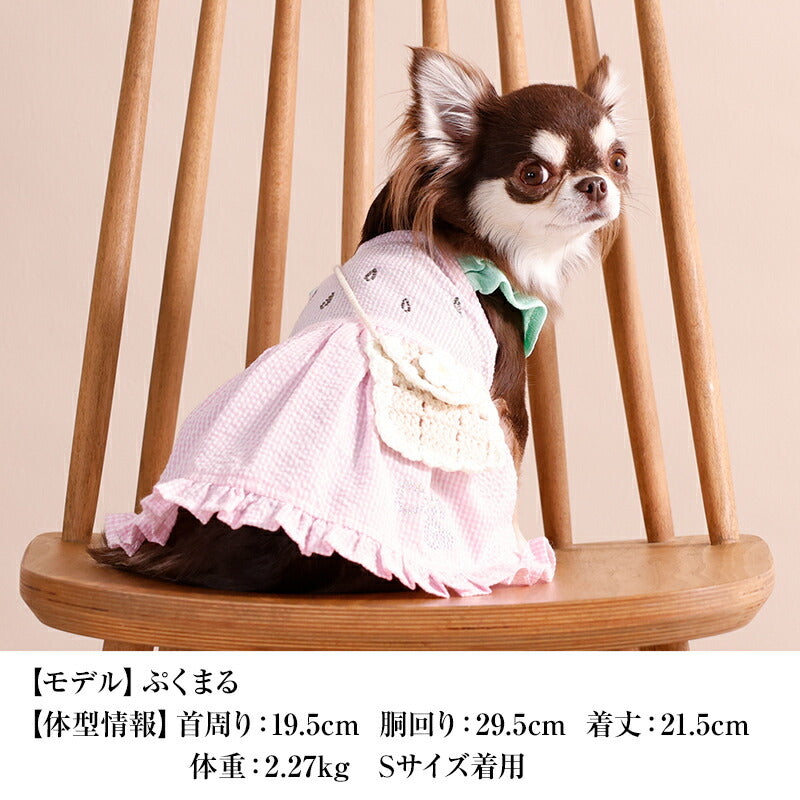 フルーツポシェットワンピ XS/S/M/L/XL CRAZYBOO -クレイジーブー- 犬服 ドッグウェア CB26SS cb261165