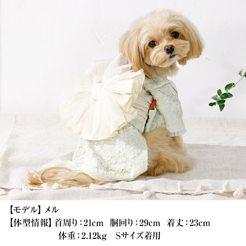 レース生地浴衣 XS/S/M/L/XL/XXL CRAZYBOO -クレイジーブー- 犬服 ドッグウェア CB26SS cb261184