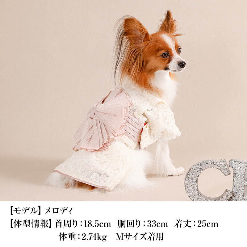 レース生地浴衣 XS/S/M/L/XL/XXL CRAZYBOO -クレイジーブー- 犬服 ドッグウェア CB26SS cb261184