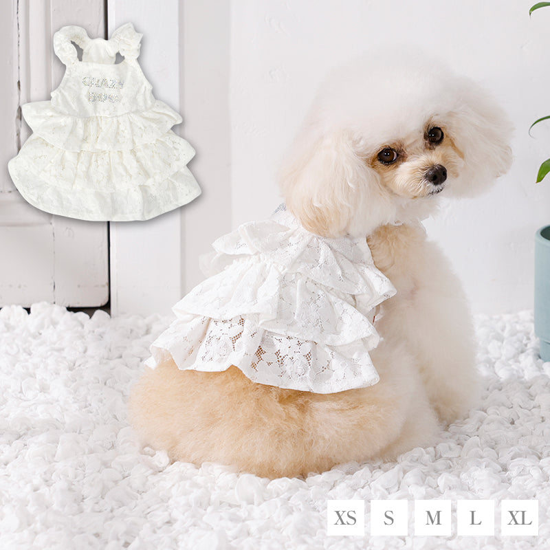 肩フリルレーシーワンピ XS/S/M/L/XL CRAZYBOO -クレイジーブー- 犬服 ドッグウェア CB26SS cb261191