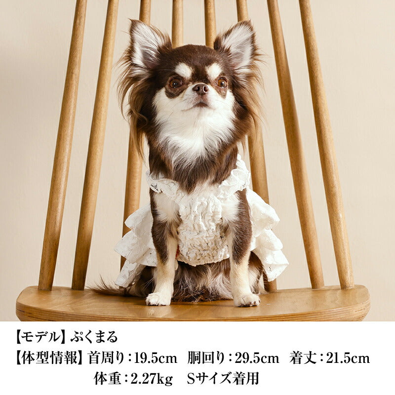肩フリルレーシーワンピ XS/S/M/L/XL CRAZYBOO -クレイジーブー- 犬服 ドッグウェア CB26SS cb261191