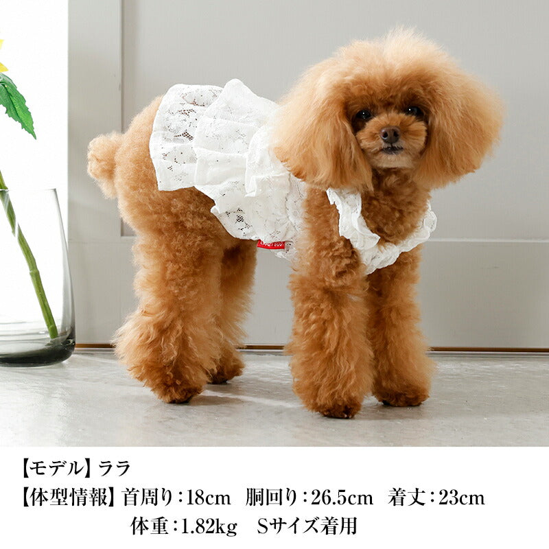 肩フリルレーシーワンピ XS/S/M/L/XL CRAZYBOO -クレイジーブー- 犬服 ドッグウェア CB26SS cb261191