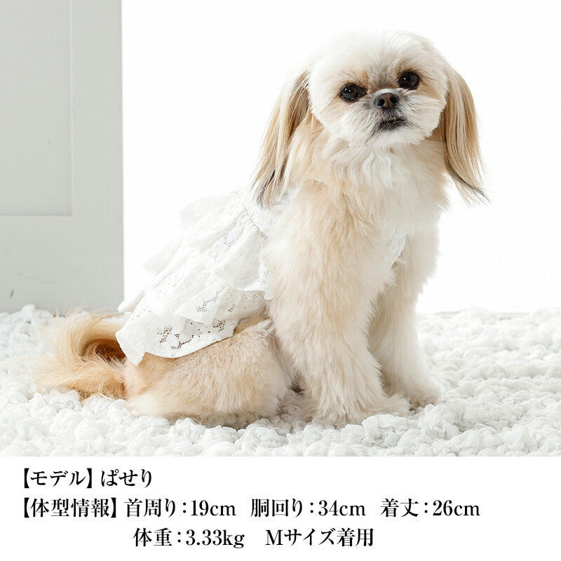 肩フリルレーシーワンピ XS/S/M/L/XL CRAZYBOO -クレイジーブー- 犬服 ドッグウェア CB26SS cb261191