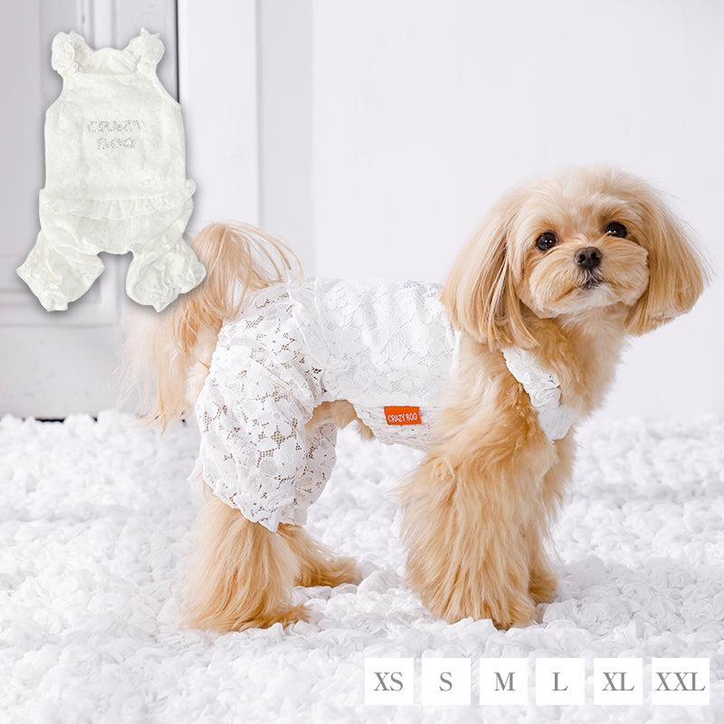 レーシーつなぎ XS/S/M/L/XL/XXL CRAZYBOO -クレイジーブー- 犬服 ドッグウェア CB26SS cb261192