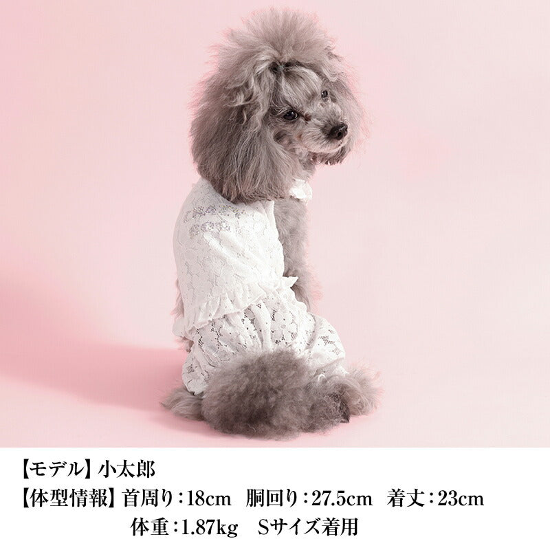 レーシーつなぎ XS/S/M/L/XL/XXL CRAZYBOO -クレイジーブー- 犬服 ドッグウェア CB26SS cb261192