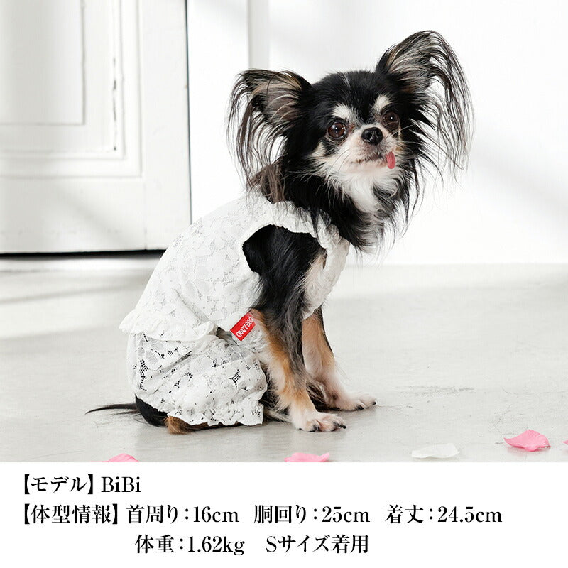レーシーつなぎ XS/S/M/L/XL/XXL CRAZYBOO -クレイジーブー- 犬服 ドッグウェア CB26SS cb261192