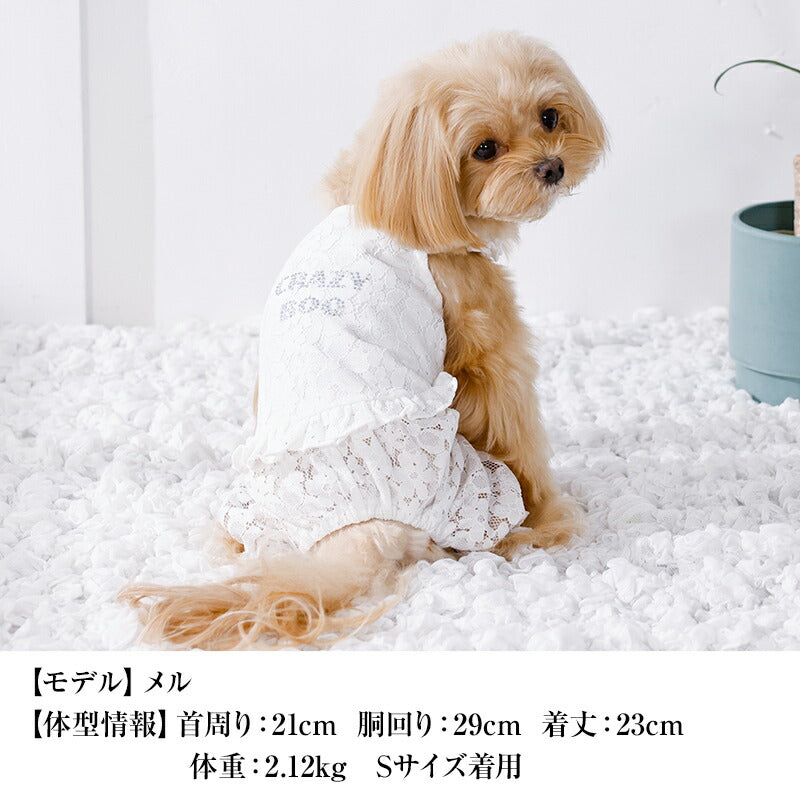 レーシーつなぎ XS/S/M/L/XL/XXL CRAZYBOO -クレイジーブー- 犬服 ドッグウェア CB26SS cb261192