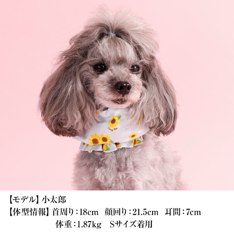 ひまわり柄クールネック S/M/L CRAZYBOO -クレイジーブー- 犬用 CB26SS cb262202