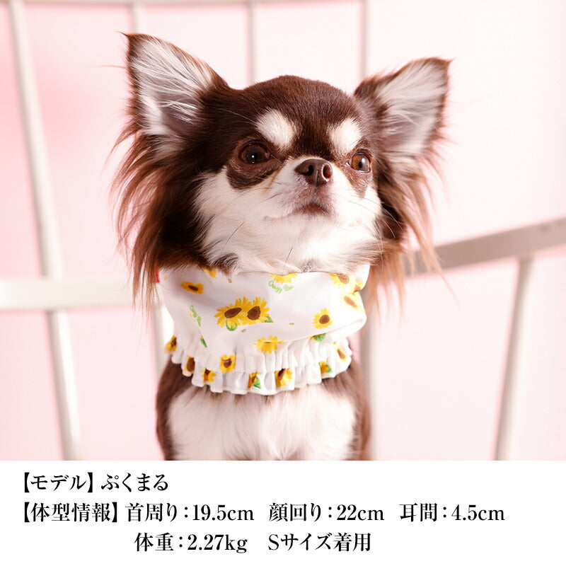 ひまわり柄クールネック S/M/L CRAZYBOO -クレイジーブー- 犬用 CB26SS cb262202