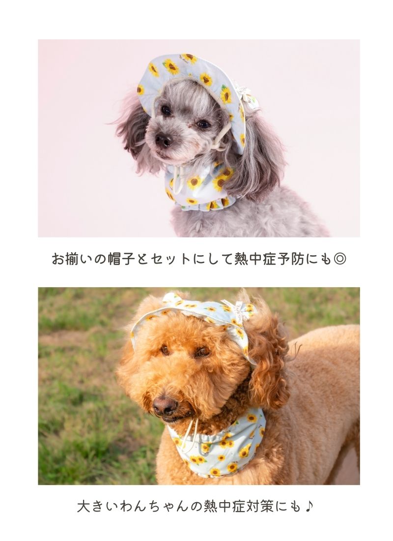 ひまわり柄クールネック S/M/L CRAZYBOO -クレイジーブー- 犬用 CB26SS cb262202