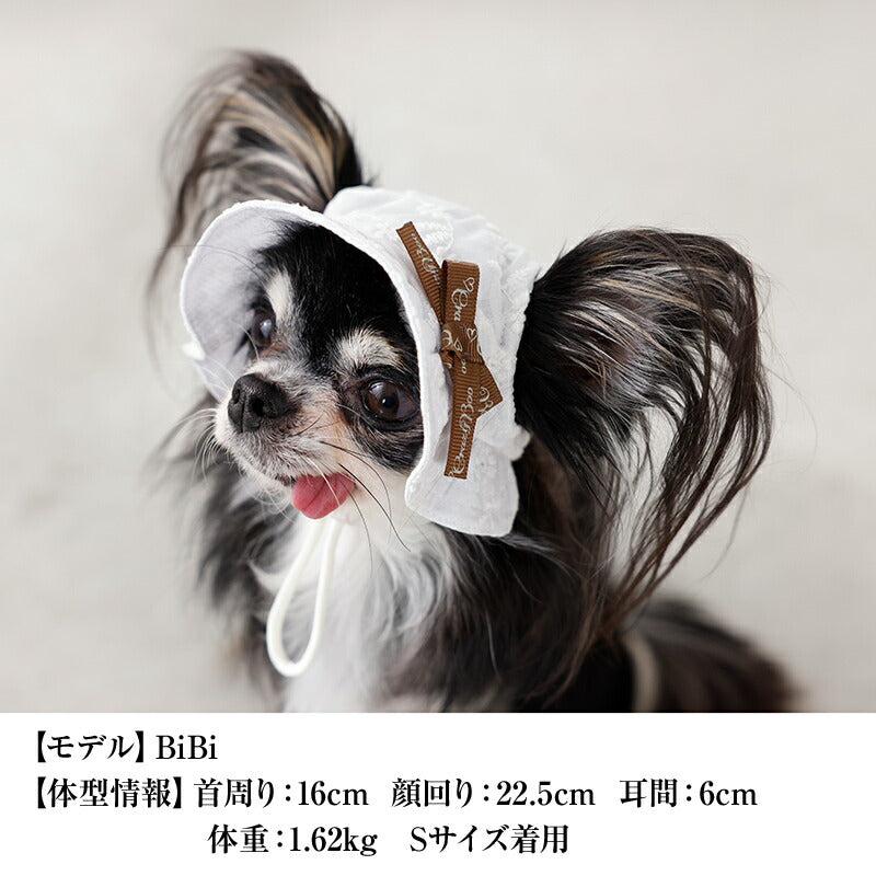 レース生地帽子 S/SM/M/L CRAZYBOO -クレイジーブー- 犬用 CB26SS cb262203