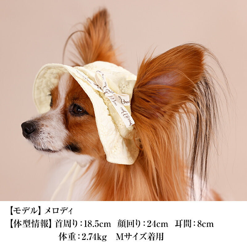 レース生地帽子 S/SM/M/L CRAZYBOO -クレイジーブー- 犬用 CB26SS cb262203