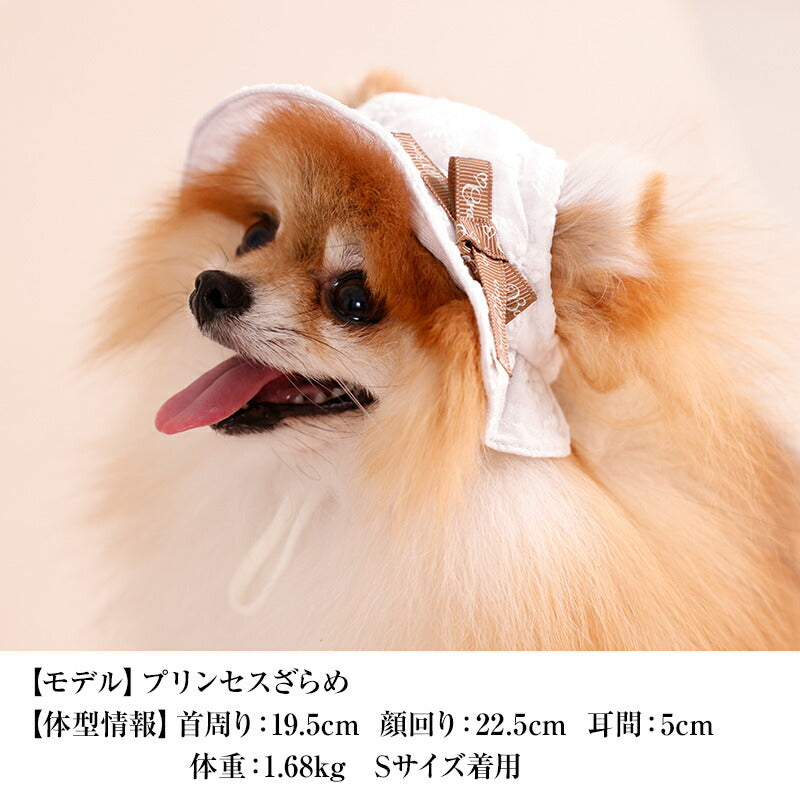 レース生地帽子 S/SM/M/L CRAZYBOO -クレイジーブー- 犬用 CB26SS cb262203