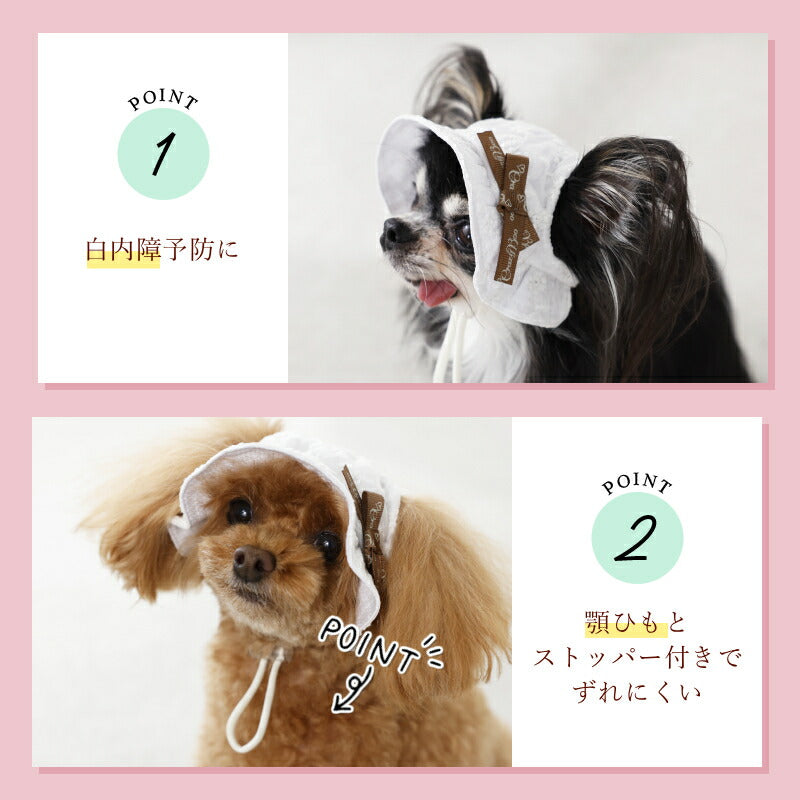 レース生地帽子 S/SM/M/L CRAZYBOO -クレイジーブー- 犬用 CB26SS cb262203