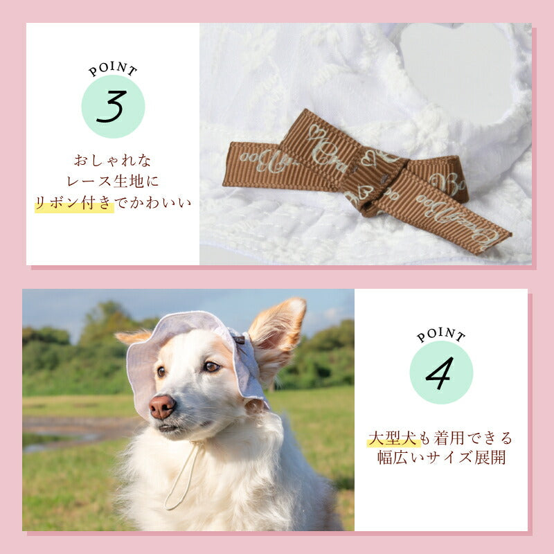 レース生地帽子 S/SM/M/L CRAZYBOO -クレイジーブー- 犬用 CB26SS cb262203