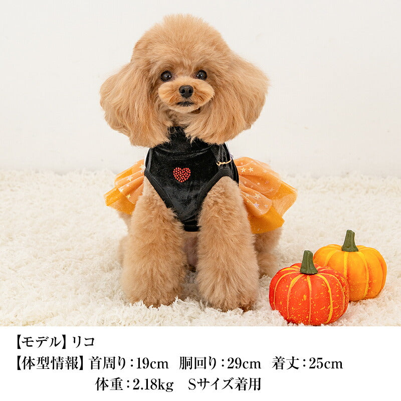 【CRAZYBOO公式】ハロウィンワンピ XS/S/M/L/XL クレイジーブー 犬服 ドッグウェア 小型犬 トイプードル チワワ ダックス CB26AW cb261221