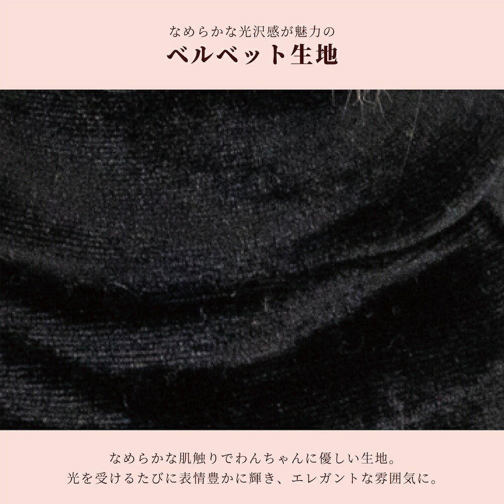 【CRAZYBOO公式】ハロウィンワンピ XS/S/M/L/XL クレイジーブー 犬服 ドッグウェア 小型犬 トイプードル チワワ ダックス CB26AW cb261221