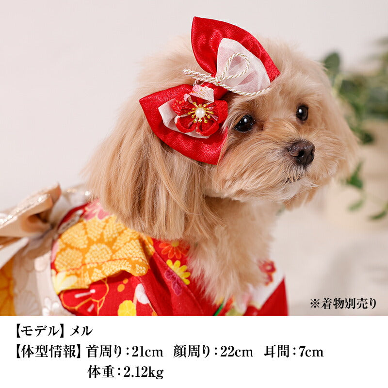 【公式通販限定】和ヘアリボン Free CRAZYBOO -クレイジーブー- 犬用 アクセサリー CB25AW cb262234