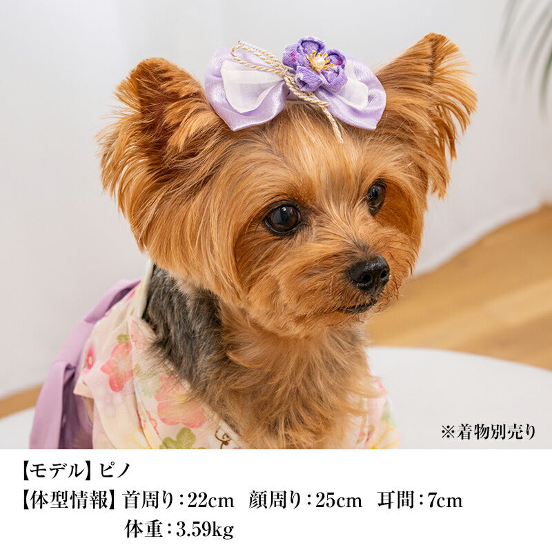 【公式通販限定】和ヘアリボン Free CRAZYBOO -クレイジーブー- 犬用 アクセサリー CB25AW cb262234