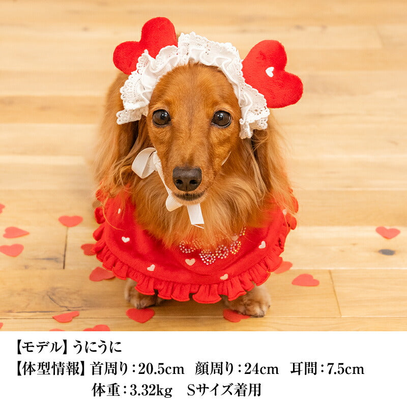 【公式通販限定】バレンタインハートスタイ S/M/L CRAZYBOO -クレイジーブー- 犬服 ドッグウェア CB25AW cb262235