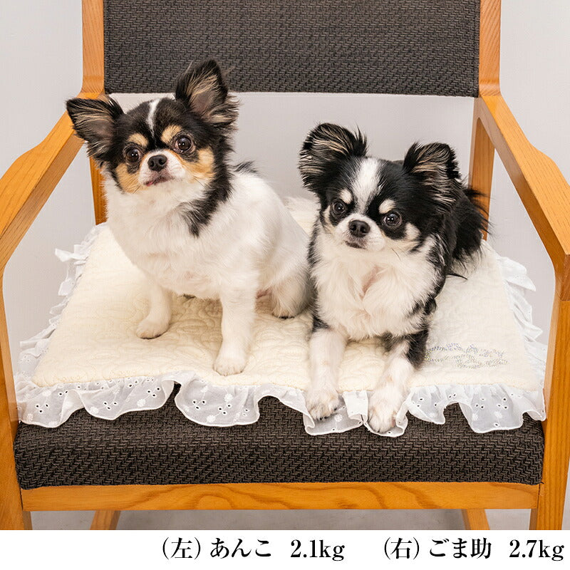 【公式通販限定】CBキルトフリルカフェマット Free CRAZYBOO -クレイジーブー- 犬用 CB26SS cb267237