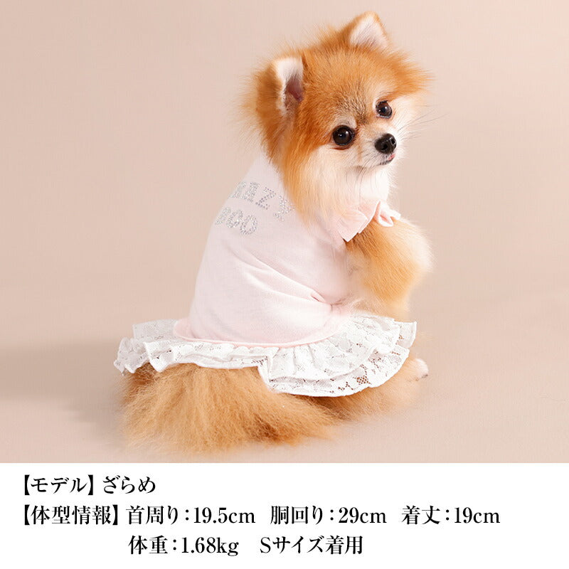 【公式通販限定】レースフリルタンク XS/S/M/L/XL/XXL/DXS/DS/DM CRAZYBOO -クレイジーブー- 犬服 ドッグウェア CB26SS cb261238