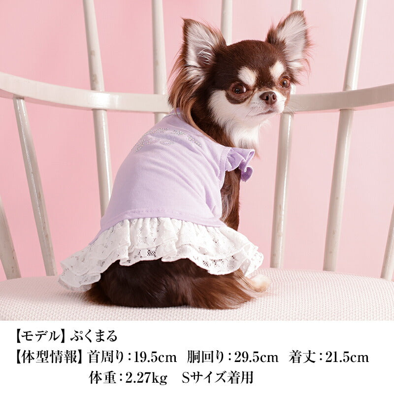 【公式通販限定】レースフリルタンク XS/S/M/L/XL/XXL/DXS/DS/DM CRAZYBOO -クレイジーブー- 犬服 ドッグウェア CB26SS cb261238