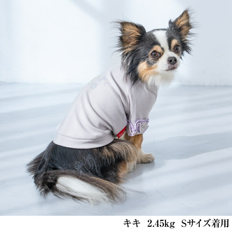 【公式通販限定】袖フリルリブニット XS/S/M/L/XL/XXL/DXS/DS/DM CRAZYBOO -クレイジーブー- 犬服 ドッグウェア CB26SS cb261239