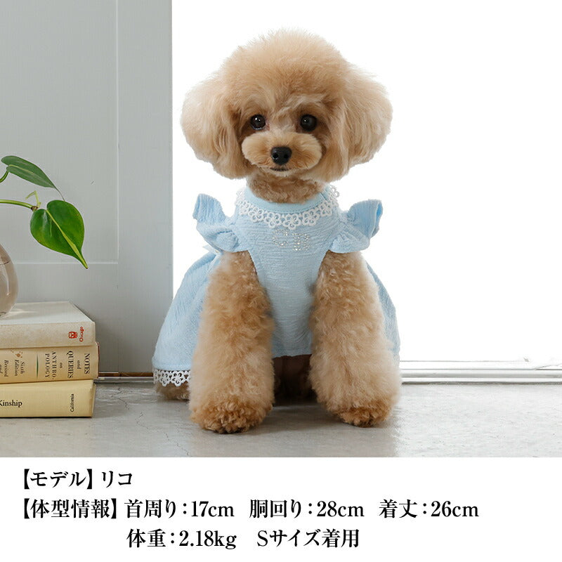 【公式通販限定】カラフルリボンワンピース XS/S/M/L/XL CRAZYBOO -クレイジーブー- 犬服 ドッグウェア CB26SS cb261240