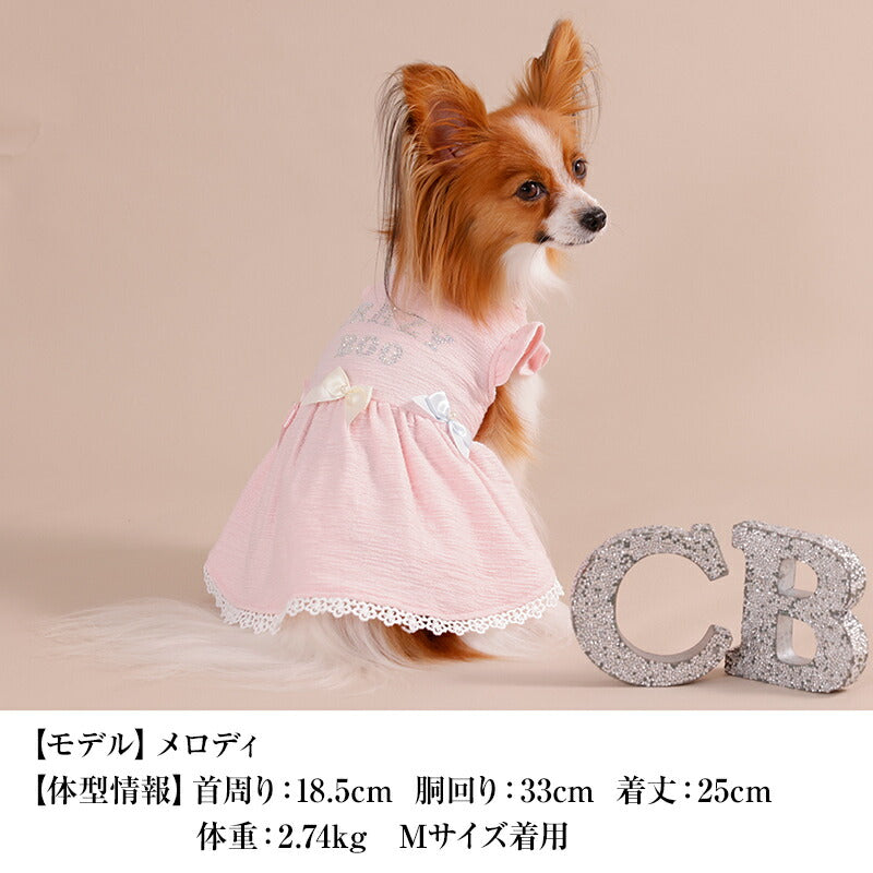 【公式通販限定】カラフルリボンワンピース XS/S/M/L/XL CRAZYBOO -クレイジーブー- 犬服 ドッグウェア CB26SS cb261240
