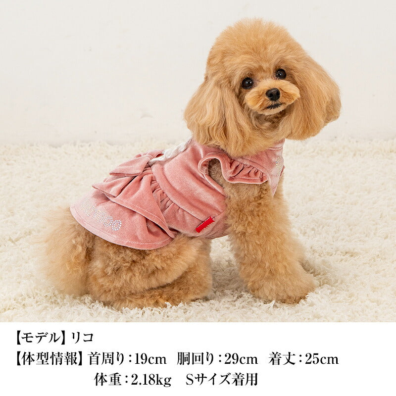 【CRAZYBOO公式】ベロアメイドワンピ XS/S/M/L/XL クレイジーブー 犬服 ドッグウェア 小型犬 トイプードル チワワ ダックス CB26AW cb261270