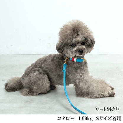 【CRAZYBOO公式】首輪 カラー スワロフ ベルト通し S/M/L クレイジーブー 犬用 小型犬 トイプードル チワワ ダックス cb119828-1