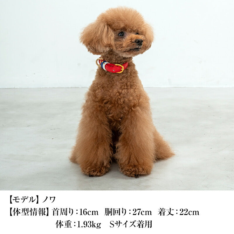 【CRAZYBOO公式】首輪 カラー スワロフ ベルト通し S/M/L クレイジーブー 犬用 小型犬 トイプードル チワワ ダックス cb119828-1