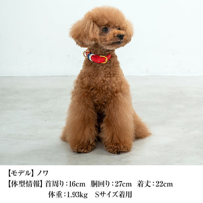 【CRAZYBOO公式】首輪 カラー スワロフ ベルト通し S/M/L クレイジーブー 犬用 小型犬 トイプードル チワワ ダックス cb119828-1
